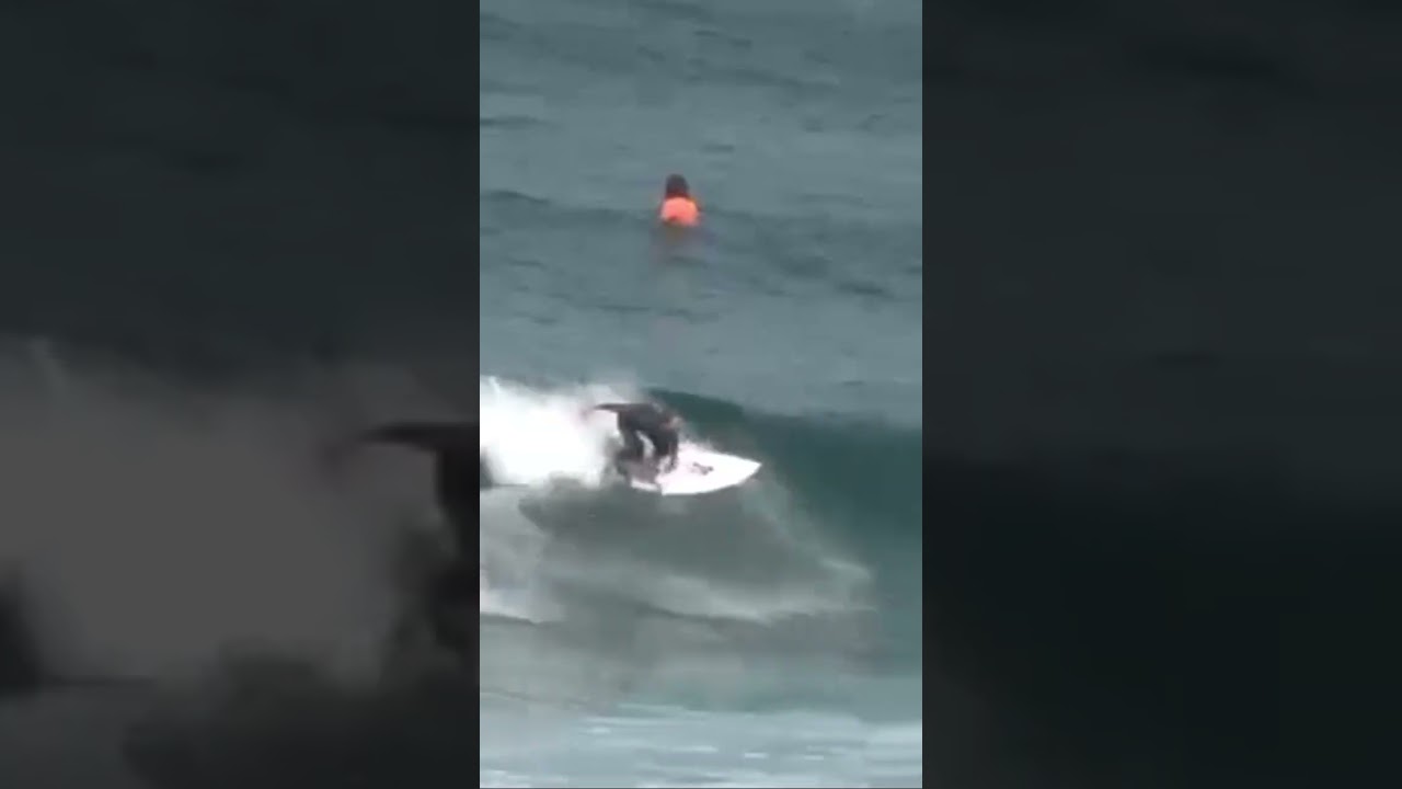 Year 4 as a surfer underway! progress isn’t fast…but the commitment is evident 