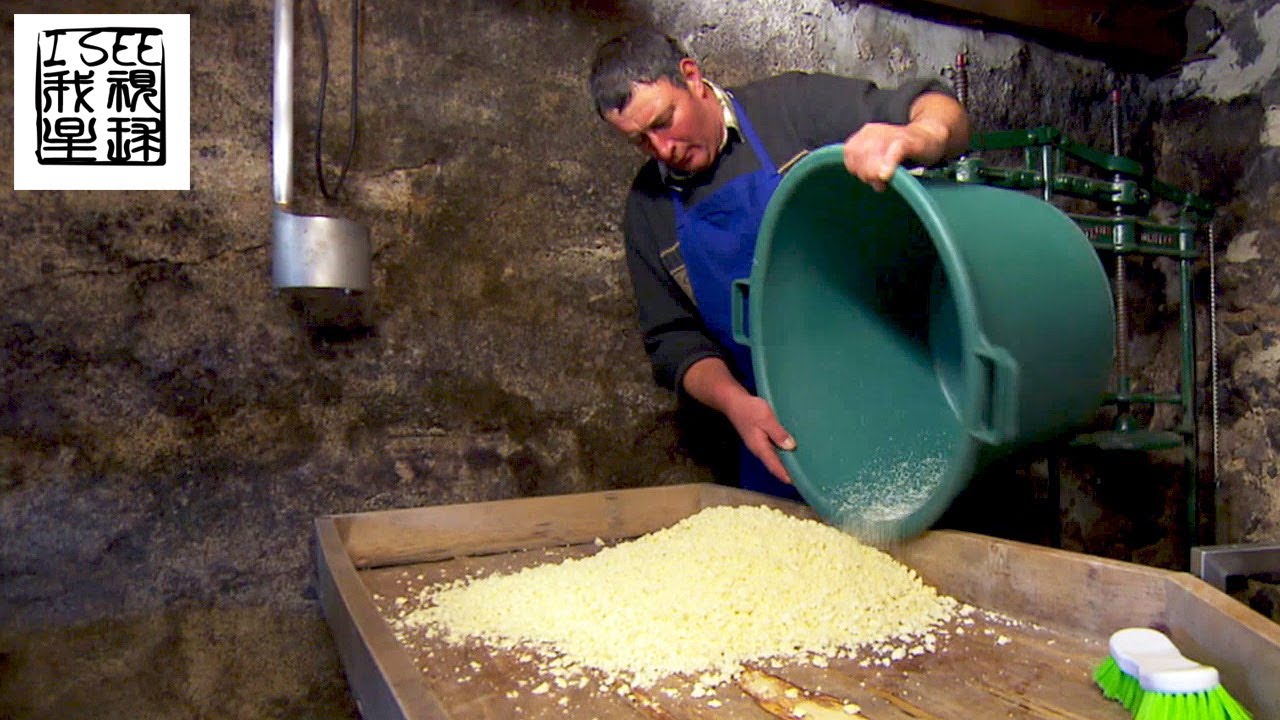 法国昂贵的布容涅奶酪来自欧布拉克乳牛纯手工制作