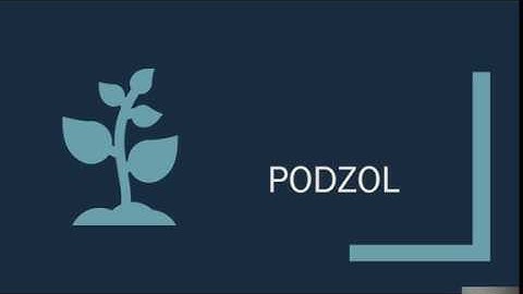 Podzol