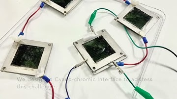 Cyano-chromic Interface: Aligning Human-Microbe Temporalities Towards Noticing and Attending to L...