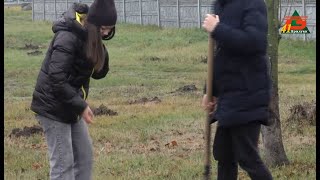 У Замісті саджали Парк Перемоги