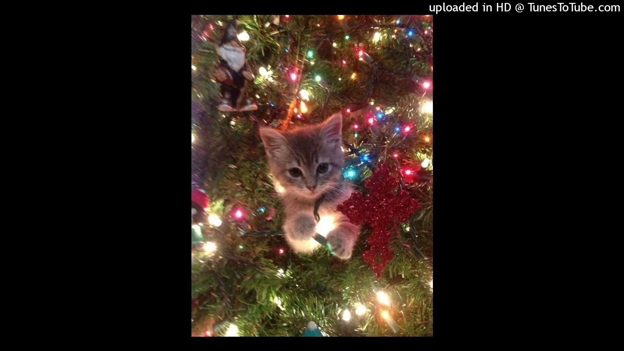 *67 but my brain so fryed type beat (free no need for credit)