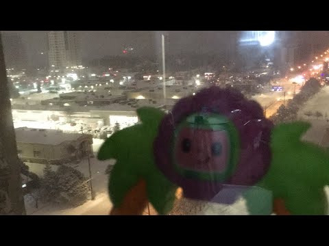 It’s Beautiful Outside After The Snow Storm - YouTube