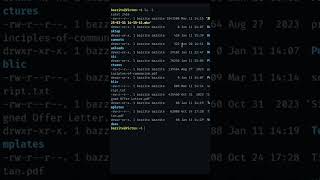 The ls command on Linux