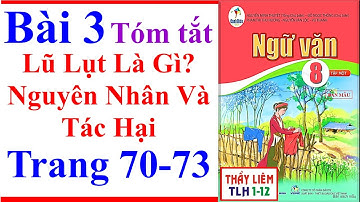Ngữ Văn 8 Bài 3 | Lũ Lụt Là Gì Nguyên Nhân Và Tác Hại | Trang 70 - 73 | Cánh Diều | Tóm Tắt