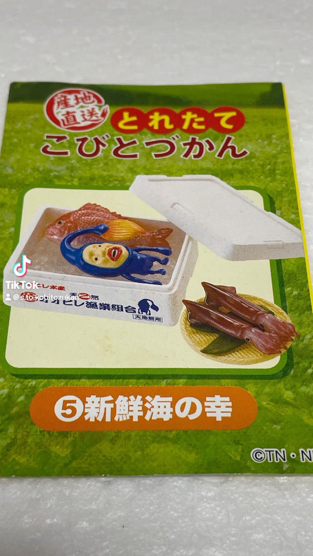 ⑤【産地直送とれたてこびとづかん】 - YouTube