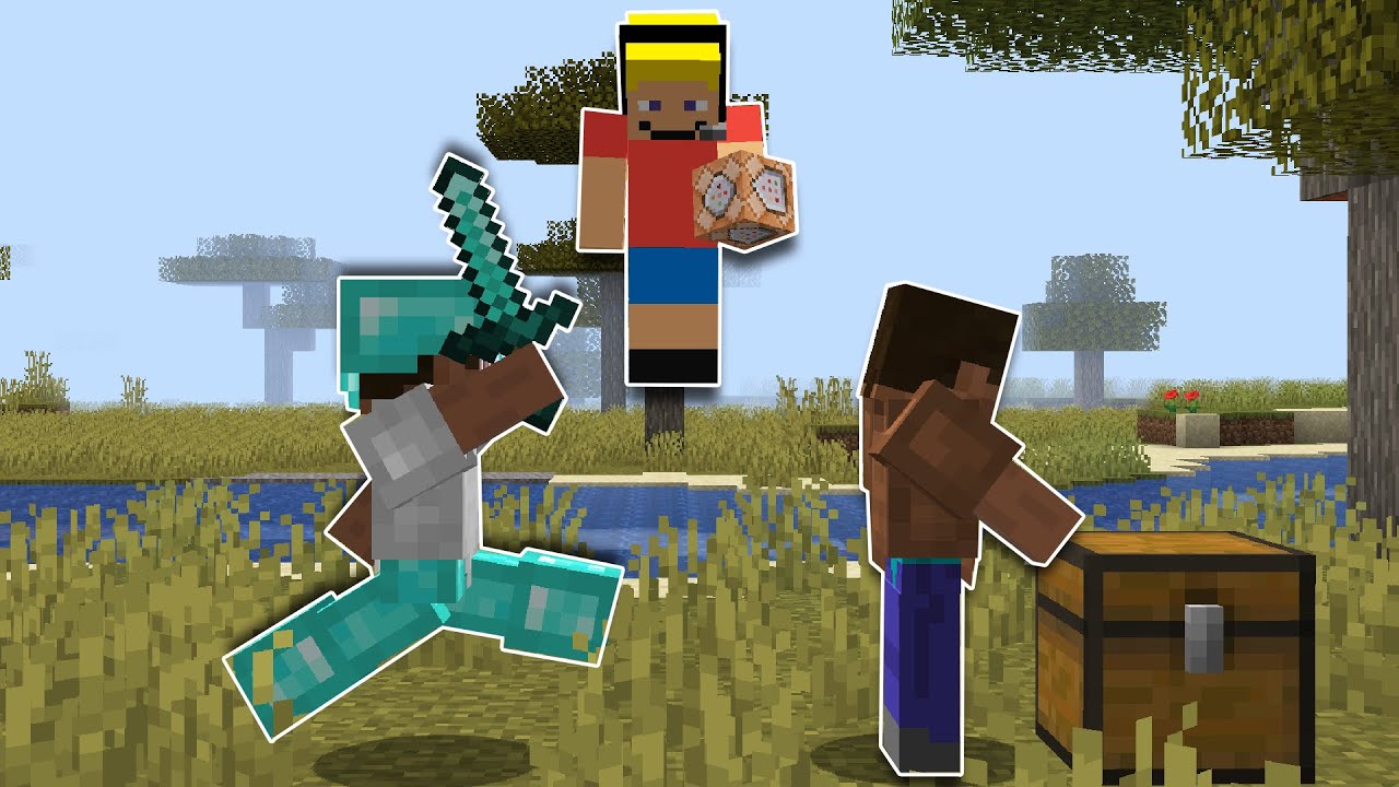 I Made My Viewers FIGHT in a Minecraft Hunger Games