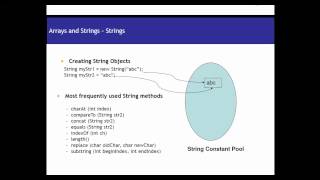 Celebrity Strings in Java Net Worth