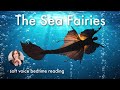  the sea fairies   a mermaid bedtime story with relaxing soft narration for sleep 