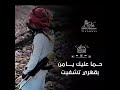   كفيت ووفيت  نجومي