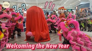 Lunar New Year Reveal Welcome The New Year With Lion Dance And The God Of Wealth