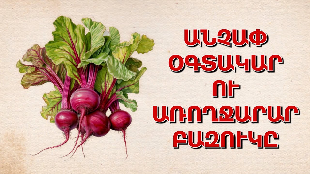 Ճակնդեղ(Բազուկ)՝ կարմիր բանջարեղենի օգուտներն ու վնասները