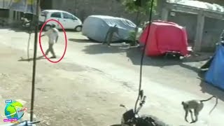 Monyet Kurang Ajar!! Keluarkan Tendangan Tanpa Bayangan Hingga Pria ini Dibikin K.O. Monyet Kurang Ajar!! Keluarkan Tendangan Tanpa Bayangan Hingga Pria ini Dibikin K.O.