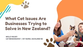 What Cat Issues Are Businesses Trying to Solve in New Zealand? by MeloCat 69 views 5 months ago 16 minutes