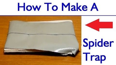 How To Make A Spider Trap