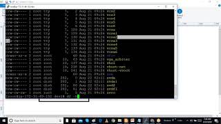 Celebrity 15 - 1 Access Linux file systems Profile