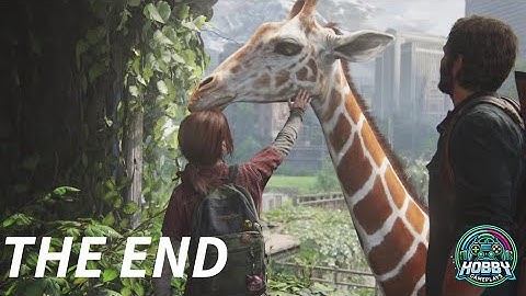 🌟 The Last of Us Remastered Gameplay Walkthrough Part 12 | The End | No Commentary 🌟 Hobby Gameplays