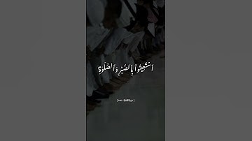 #سورة_البقرة #القرآن_الكريم #اكسبلور #ذكر_الله #لايك #القرآن #حالات_واتس #تلاوة_خاشعة #راحة_نفسية