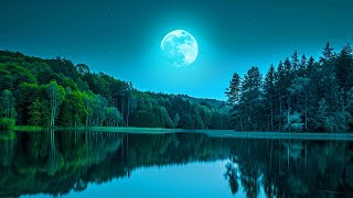 Deep Sleep Music 24/7, Insomnia, Relaxing Music, Sleep Music, Meditation, Zen, Relaxing Wave Sounds