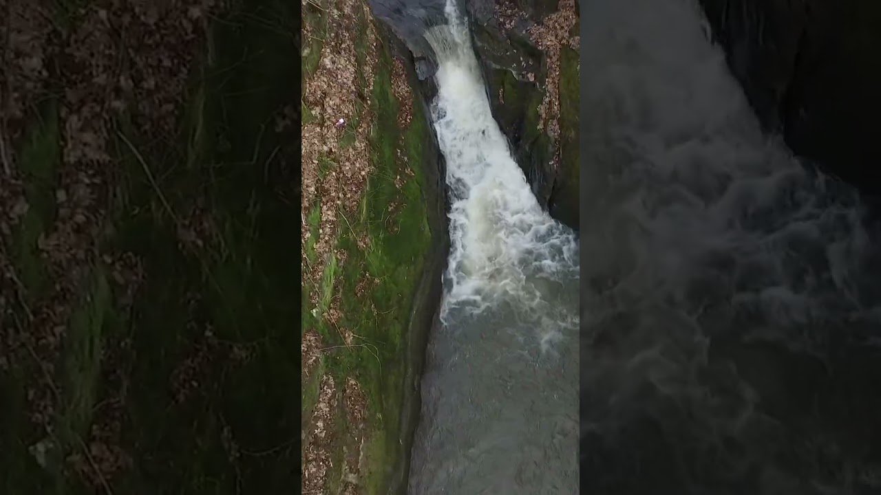 Flyin Pewets Nest, Wisconsin