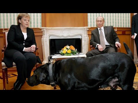 Video: Welche Hunderasse Hat Putin?