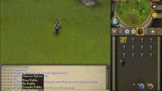 Ruby Harvest Guide
