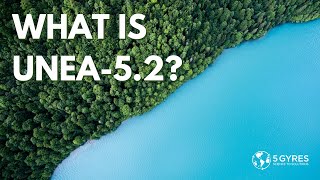 What is UNEA-5.2?