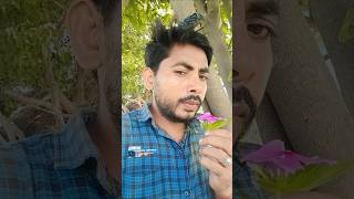 कंगाल पति#burjkhalifa labour vlog #comedy #funny #shortvideo #vairal #foryou #trendingvideo#seotips