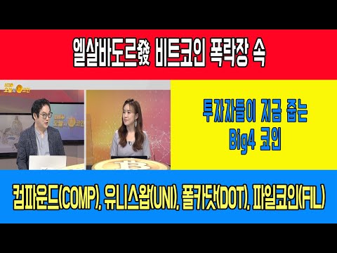 엘살바도르發 비트코인 폭락장 속 투자자들이 지금 줍는 Big4 코인 - 컴파운드(COMP), 유니스왑(<strong>UNI</strong>), 폴카닷(DOT), 파일코인(FIL)