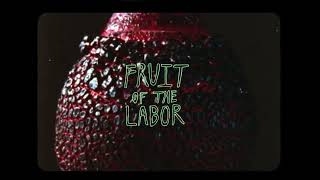 Plastic Ruby - FRUIT OF THE LABOR (Visualizer)