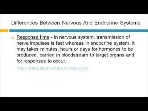 Differences Between Nervous And Endocrine Systems | Coordination And