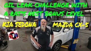 What does an oil leak and a rat's nest have in common?   KIA Sedona, Mazda CX 5. Oil leak challenge.