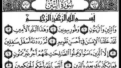 سورة التين والزيتون بصوت جميل [لقد خلقنا الإنسان في احسن تقويم]