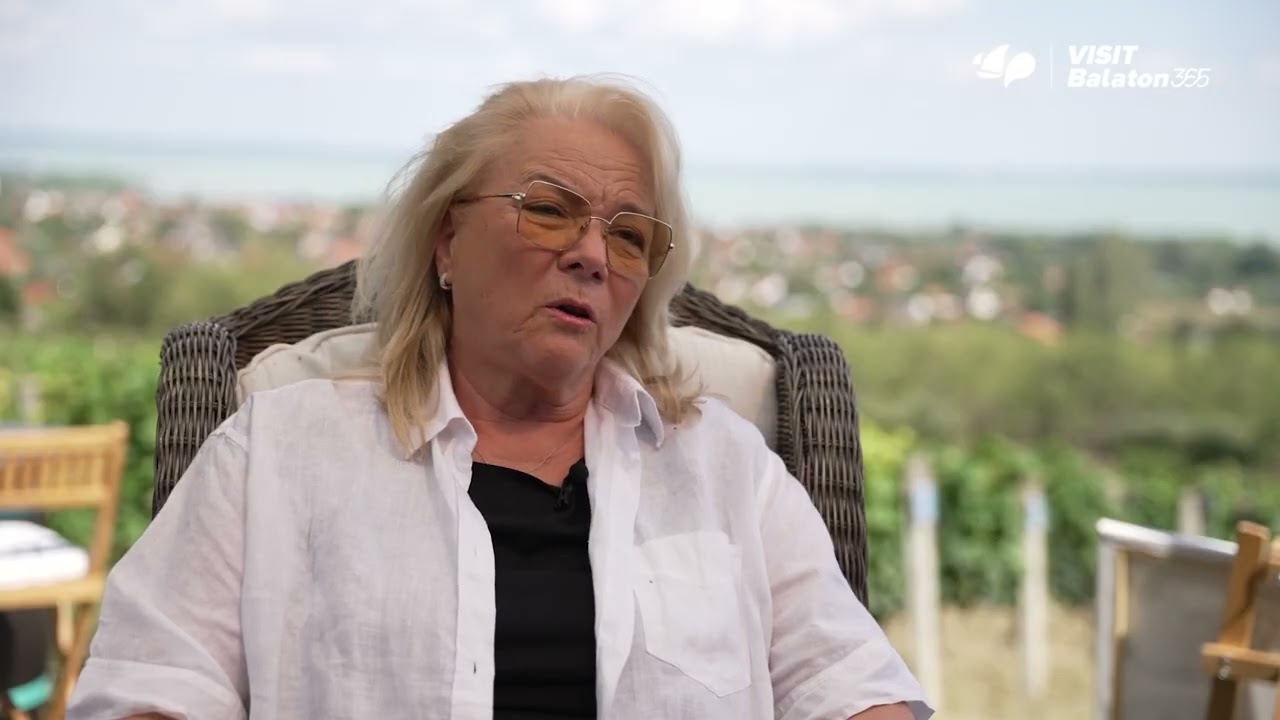 A Petrányi Borterasz története