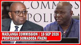 Madlanga Commission Evidence By Professor Somadoda Fikeni Chairperson of Public Service Commission
