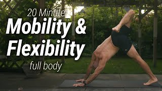 20 Minute Mobility and Flexibility Workout, No Talking | Intermediate/Advanced