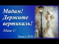 Мадам! Держите вертикаль! /автор слов Ника 1/