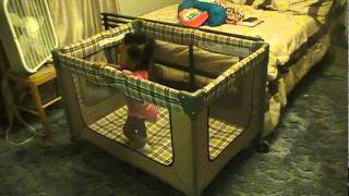 Singing And Dancing To Backyardigans.mbv