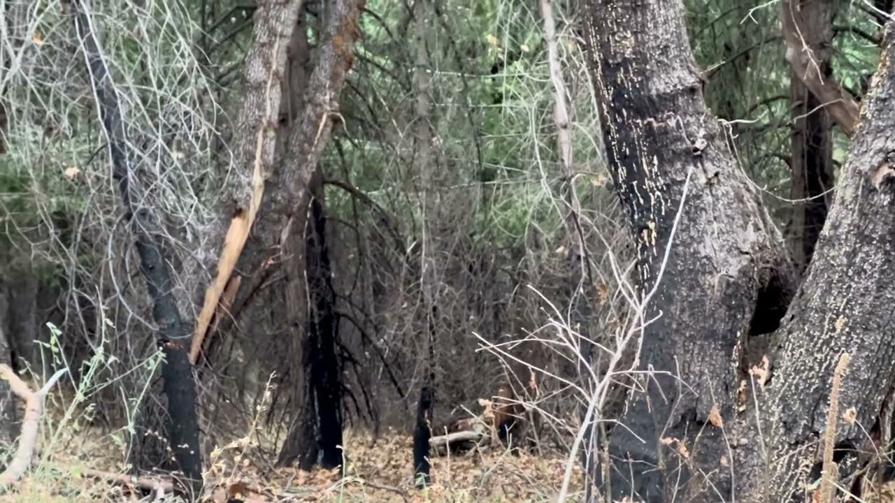 Dec 16,2025 we so enjoyed our hunting season and hiking trip together.