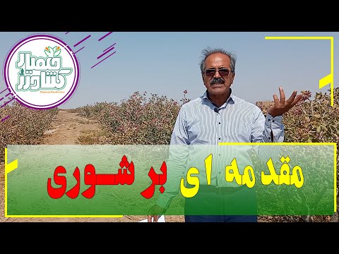 تصویری: چگونه تبخیر و تعرق منجر به شور شدن می شود؟