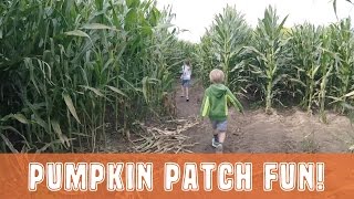 PUMPKIN PATCH FUN - MORTIMER FARMS - 2016