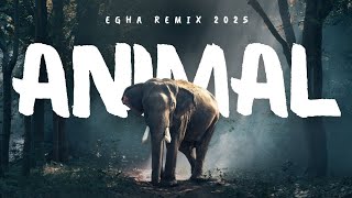 Animal Mix Seronock Party Edit 2025
