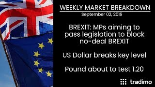 Weekly Market Breakdown Sept. 02 2019 | Tradimo