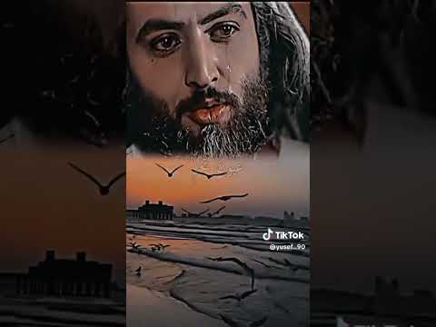 نبيل يوسف