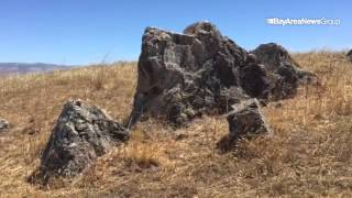 #Mercury News' Paul Rogers describes the new #Coyote_Valley Open Space Preserve with public access t