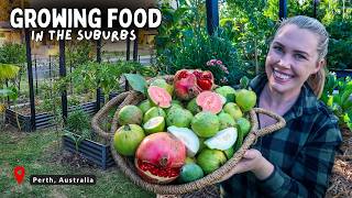 What I am Harvesting & Planting NOW 🌱 in my 1/5 acre Edible Garden 🍂 AUTUMN