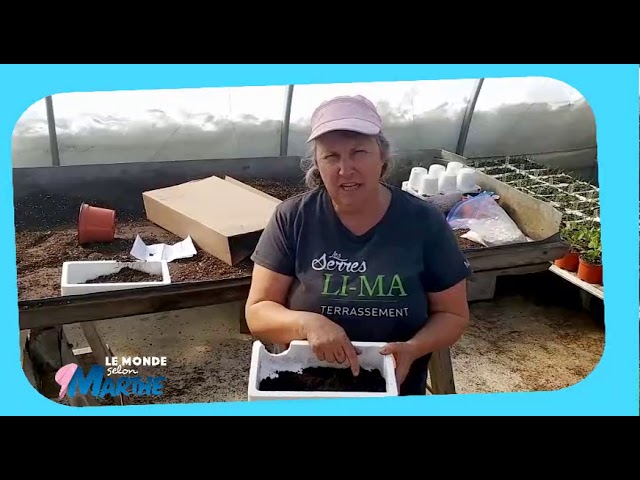 Choisir Sa Terre A Plantation Capsule Hebdomadaire No 1 19 Marthe Laverdiere Youtube