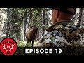 4-Yards, Frontal, and Furious! Corey's 2019 Idaho Bull (Destination Elk V2: Episode 19)