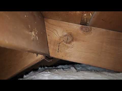 The Truth About Attic Insulation | You Can't Handle The Truth!!!!