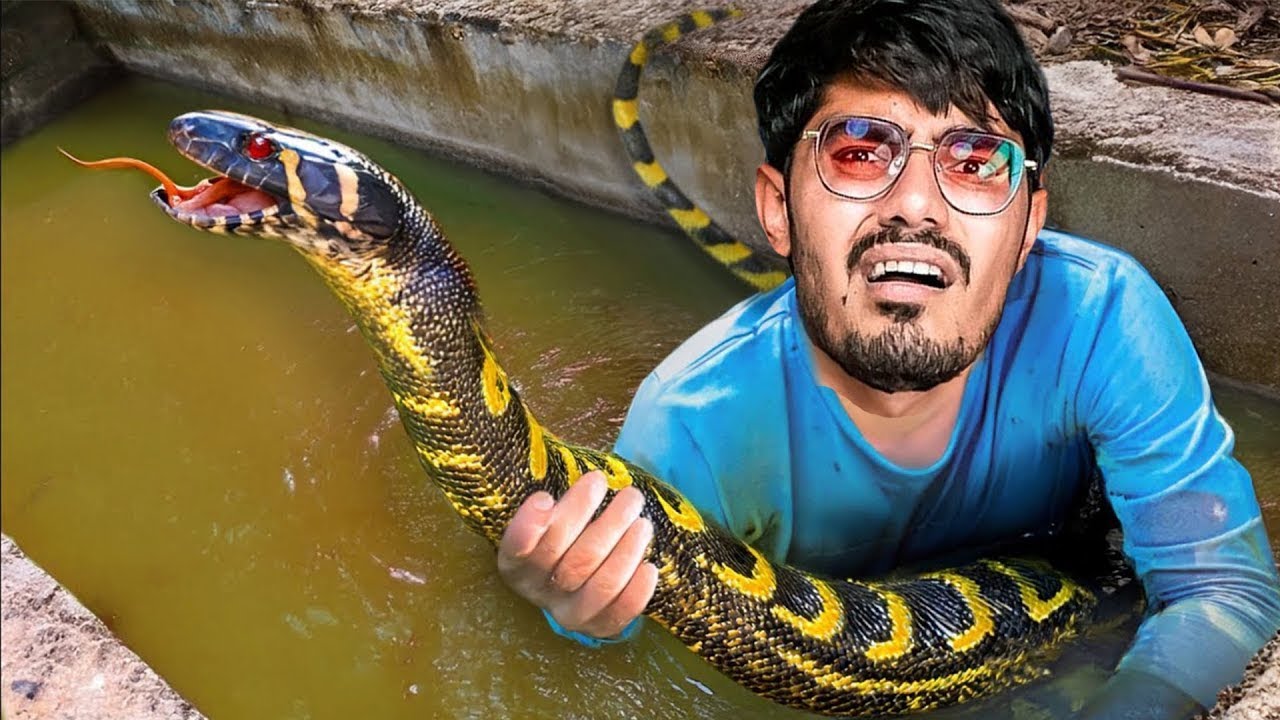 Humare Studio Me Ghus Gaya Cobra Snake😱